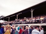 Miles City, and Bucking Horse Sale racing, 2003