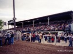 Miles City, and Bucking Horse Sale racing, 2003