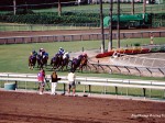 Santa Anita Park, Breeders Cup, 2003