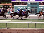 Santa Anita Park, Breeders Cup, 2003