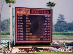 Santa Anita Park, Breeders Cup, 2003