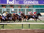 Santa Anita Park, Breeders Cup, 2003