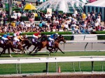 Santa Anita Park, Breeders Cup, 2003