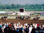 Santa Anita Park, Breeders Cup, 2003