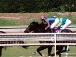 Santa Anita Park, Breeders Cup, 2003