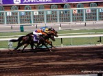 Santa Anita Park, Breeders Cup, 2003