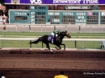 Santa Anita Park, Breeders Cup, 2003