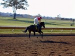 kee 01 j19