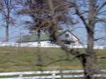 lex horse farm 01 j5