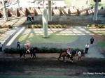 Garden State Park racetrack, Cherry Hill, NJ