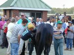 Garden State Park racetrack, Cherry Hill, NJ