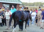 Garden State Park racetrack, Cherry Hill, NJ