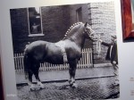 International Museum of the Horse