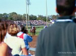 Breeders Cup, Lone Star Park, 2004 Breeders Cup, Lone Star Park, 2004