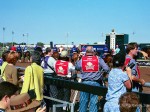 Breeders Cup, Lone Star Park, 2004 Breeders Cup, Lone Star Park, 2004