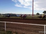 Great Falls Turf Club racing, 2019