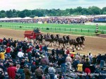 Preakness Pimlico 2002 - Dammit! Those Budweiser Clydesdales are everywhere!