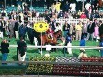 Preakness Pimlico 2002, Harlan's Holiday gets a pre race tuneup