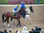 Preakness Pimlico 2002, Harlan's Holiday