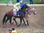 Preakness Pimlico 2002, Booklet