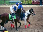 Preakness Pimlico 2002, Proud Citizen