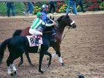 Preakness Pimlico 2002, War Emblem