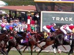 Santa Anita Park, Breeders Cup, 2003