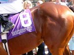 Santa Anita Park, Breeders Cup, 2003