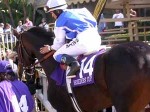 Santa Anita, Breeders Cup, 2003