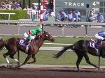 Santa Anita Park, Breeders Cup, 2003