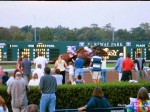 Turfway Park racetrack