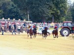 Cumberland County Fair