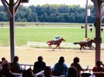 Cumberland County Fair