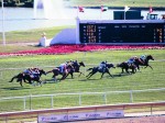 Arlington Million Day 2004 at Arlington Park