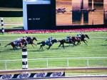 Arlington Million Day 2004 at Arlington Park