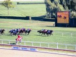 Arlington Million Day 2004 at Arlington Park