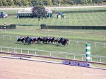 Arlington Million Day 2004 at Arlington Park