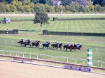 Arlington Million Day 2004 at Arlington Park