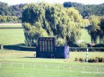 Arlington Million Day 2004 at Arlington Park