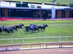 Arlington Million Day 2004 at Arlington Park