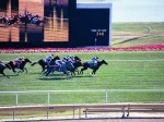 Arlington Million Day 2004 at Arlington Park