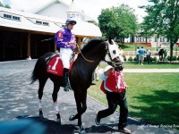 Arlington Park 2003