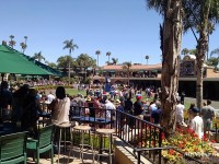 Del Mar 2019 and Pacific Classic