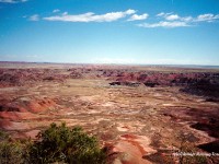 Painted Desert, 2001