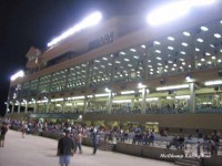 Retama Park 2007