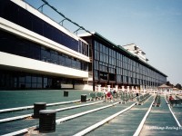 Suffolk Downs