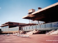 Turf Paradise 2001