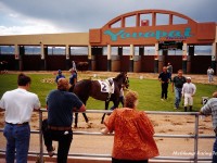 Yavapai Downs 2001