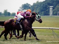 Kentucky Downs Party 2002