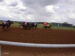 Gillespie County Fair, 2003